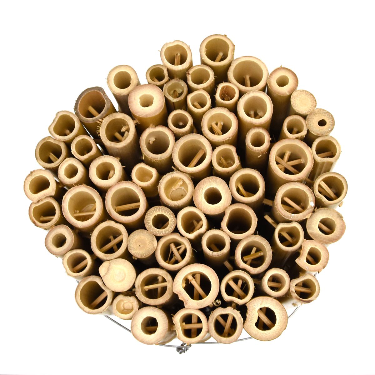 Arteria Puffi, vista alto